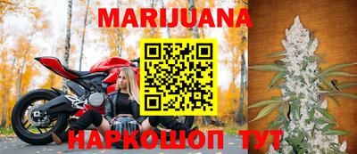 гидра Камышлов