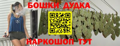 гидра Камышлов