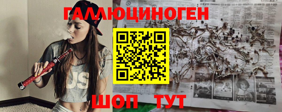 Галлюциногенные грибы GOLDEN TEACHER Лыткарино